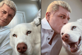 WWE's Cody Rhodes and his pet dog, a Husky named Pharaoh.